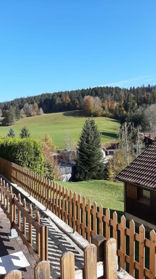 Terrasse Des Monts - Duplex Independant De Charme *